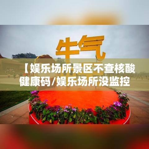 【娱乐场所景区不查核酸健康码/娱乐场所没监控违法吗】