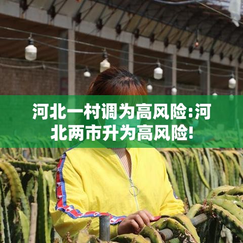 河北一村调为高风险:河北两市升为高风险!