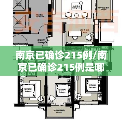 南京已确诊215例/南京已确诊215例是哪里的