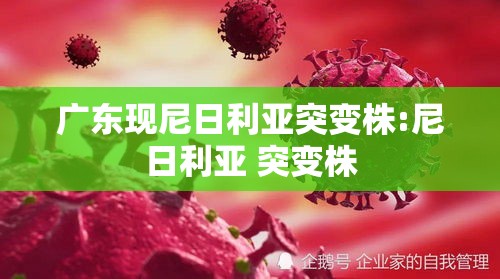 广东现尼日利亚突变株:尼日利亚 突变株