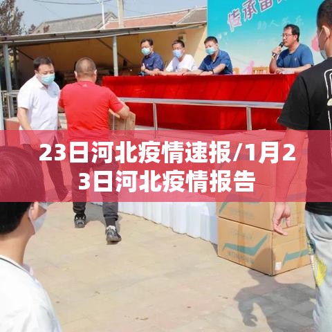 23日河北疫情速报/1月23日河北疫情报告