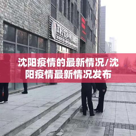 沈阳疫情的最新情况/沈阳疫情最新情况发布