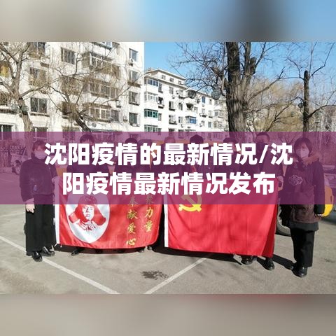 沈阳疫情的最新情况/沈阳疫情最新情况发布