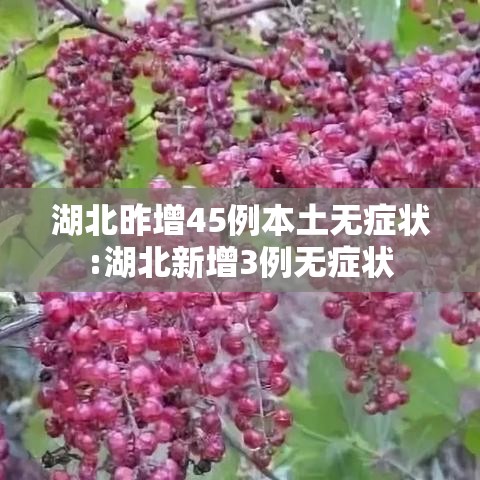 湖北昨增45例本土无症状:湖北新增3例无症状