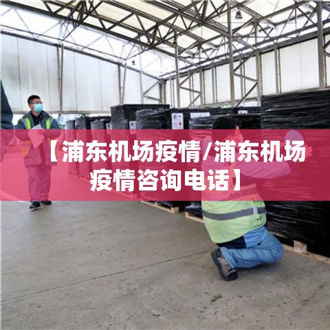 【浦东机场疫情/浦东机场疫情咨询电话】