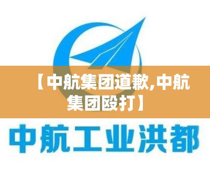 【中航集团道歉,中航集团殴打】