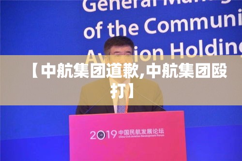 【中航集团道歉,中航集团殴打】