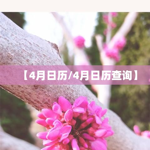 【4月日历/4月日历查询】