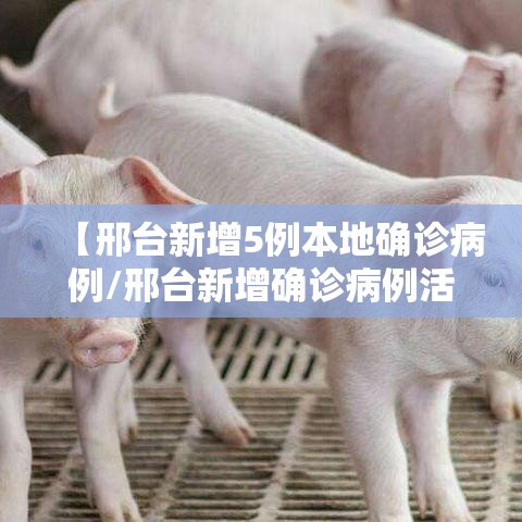 【邢台新增5例本地确诊病例/邢台新增确诊病例活动轨迹】