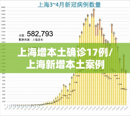 上海增本土确诊17例/上海新增本土案例