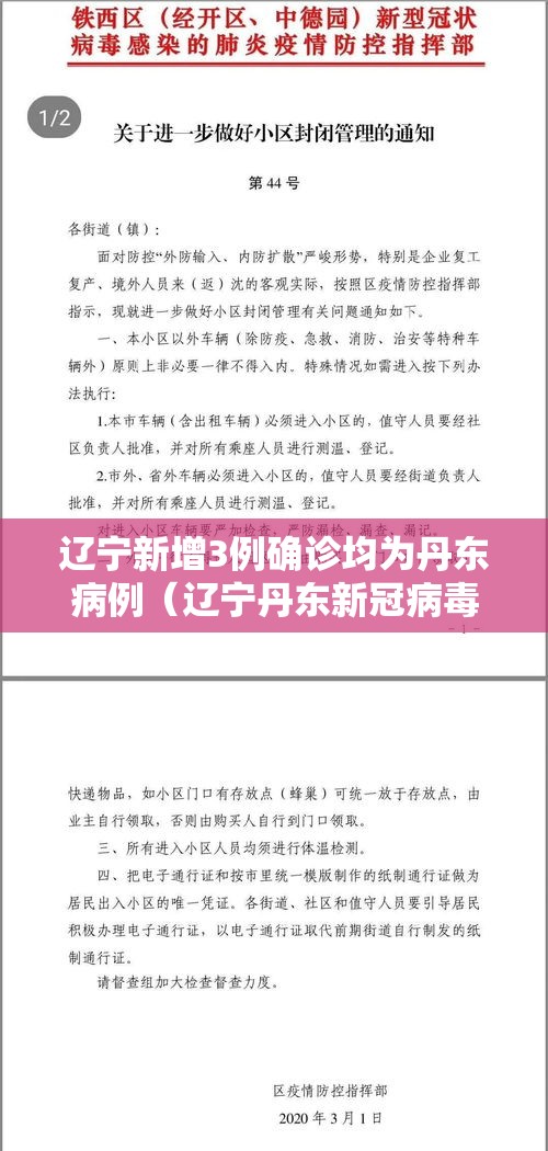 辽宁新增3例确诊均为丹东病例（辽宁丹东新冠病毒最新消息）