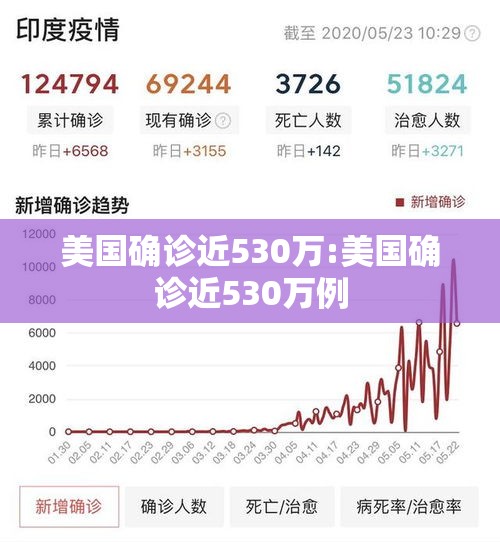 美国确诊近530万:美国确诊近530万例