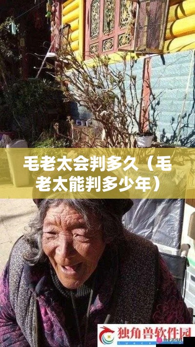 毛老太会判多久（毛老太能判多少年）
