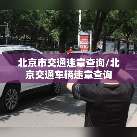 北京市交通违章查询/北京交通车辆违章查询