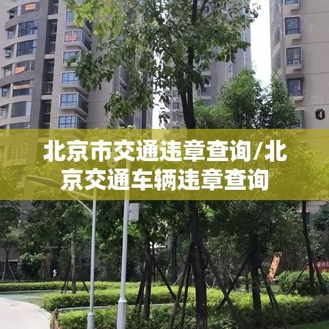 北京市交通违章查询/北京交通车辆违章查询