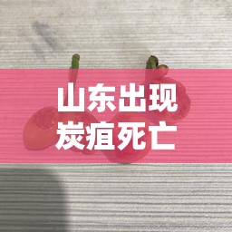 山东出现炭疽死亡病例/山东 炭疽死亡
