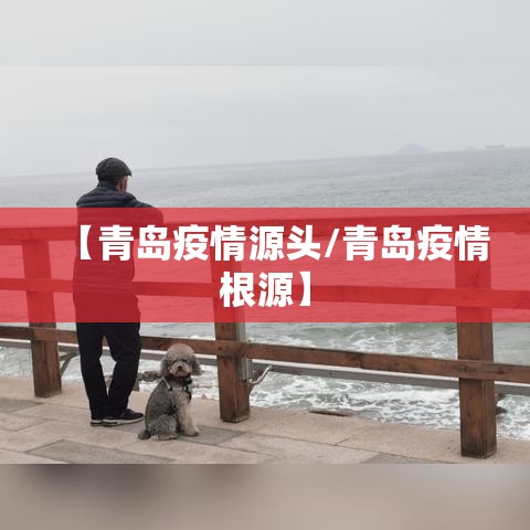 【青岛疫情源头/青岛疫情根源】