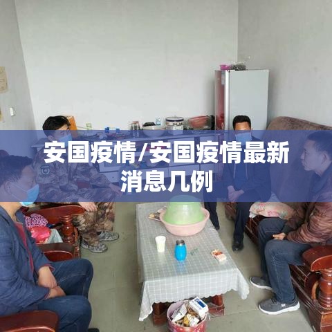 安国疫情/安国疫情最新消息几例