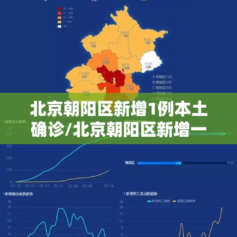 北京朝阳区新增1例本土确诊/北京朝阳区新增一例