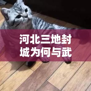 河北三地封城为何与武汉不同（河北到底封城没有）