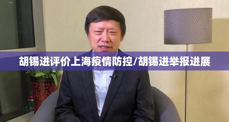 胡锡进评价上海疫情防控/胡锡进举报进展