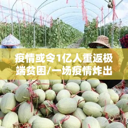 疫情或令1亿人重返极端贫困/一场疫情炸出了多少穷人