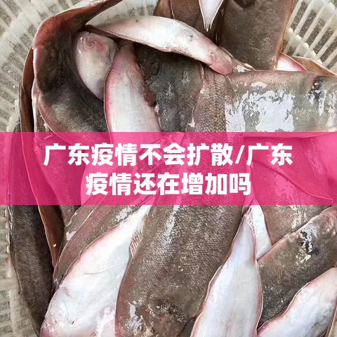 广东疫情不会扩散/广东疫情还在增加吗