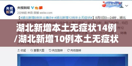 湖北新增本土无症状14例/湖北新增10例本土无症状