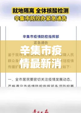 辛集市疫情最新消息/辛集市疫情最新进展