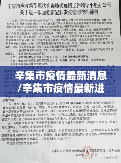 辛集市疫情最新消息/辛集市疫情最新进展