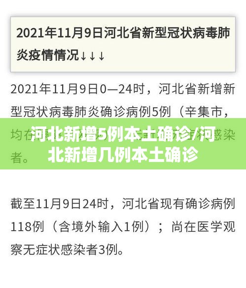 河北新增5例本土确诊/河北新增几例本土确诊