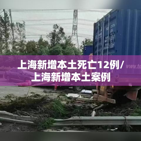上海新增本土死亡12例/上海新增本土案例