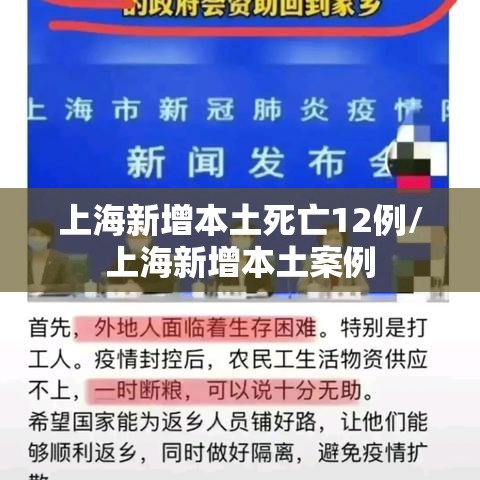 上海新增本土死亡12例/上海新增本土案例