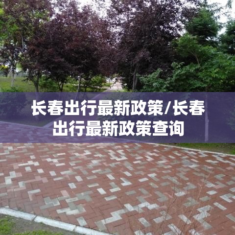 长春出行最新政策/长春出行最新政策查询