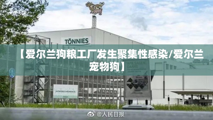 【爱尔兰狗粮工厂发生聚集性感染/爱尔兰宠物狗】