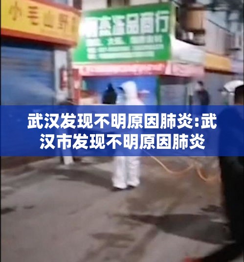 武汉发现不明原因肺炎:武汉市发现不明原因肺炎