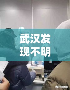 武汉发现不明原因肺炎:武汉市发现不明原因肺炎