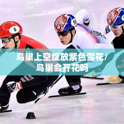 鸟巢上空绽放紫色雪花/鸟巢会开花吗
