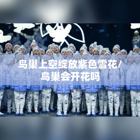 鸟巢上空绽放紫色雪花/鸟巢会开花吗