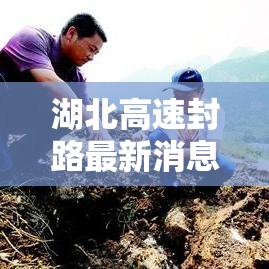 湖北高速封路最新消息今天（湖北高速封路最新消息新闻）
