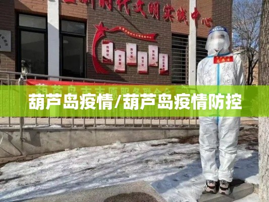 葫芦岛疫情/葫芦岛疫情防控