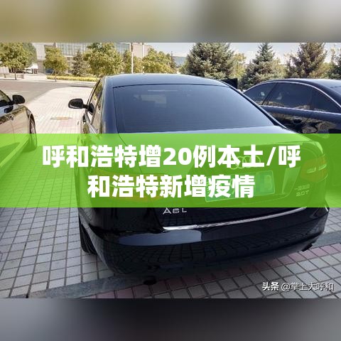 呼和浩特增20例本土/呼和浩特新增疫情 呼和浩特增20例本土/呼和浩特新增疫情