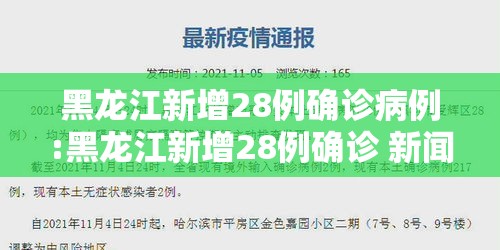 黑龙江新增28例确诊病例:黑龙江新增28例确诊 新闻