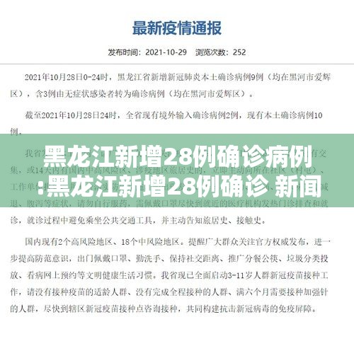 黑龙江新增28例确诊病例:黑龙江新增28例确诊 新闻