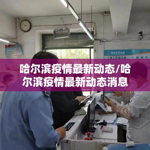 哈尔滨疫情最新动态/哈尔滨疫情最新动态消息
