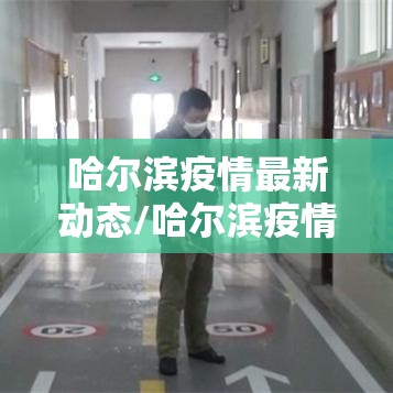 哈尔滨疫情最新动态/哈尔滨疫情最新动态消息