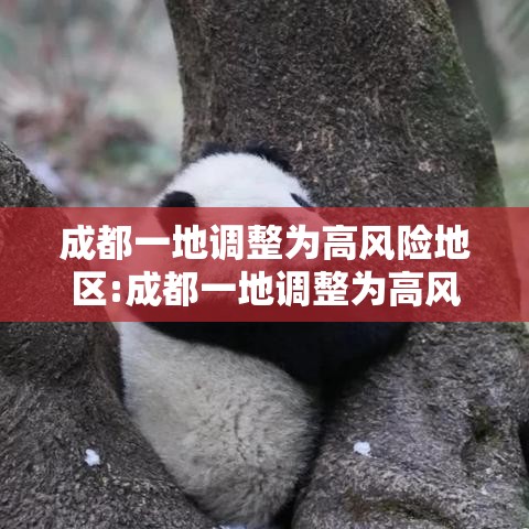 成都一地调整为高风险地区:成都一地调整为高风险地区了吗