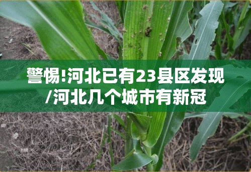 警惕!河北已有23县区发现/河北几个城市有新冠