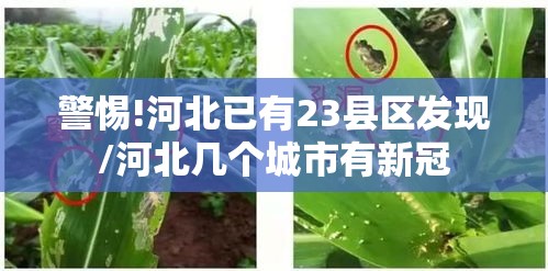警惕!河北已有23县区发现/河北几个城市有新冠