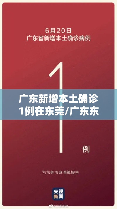 广东新增本土确诊1例在东莞/广东东莞新增本土确诊9例